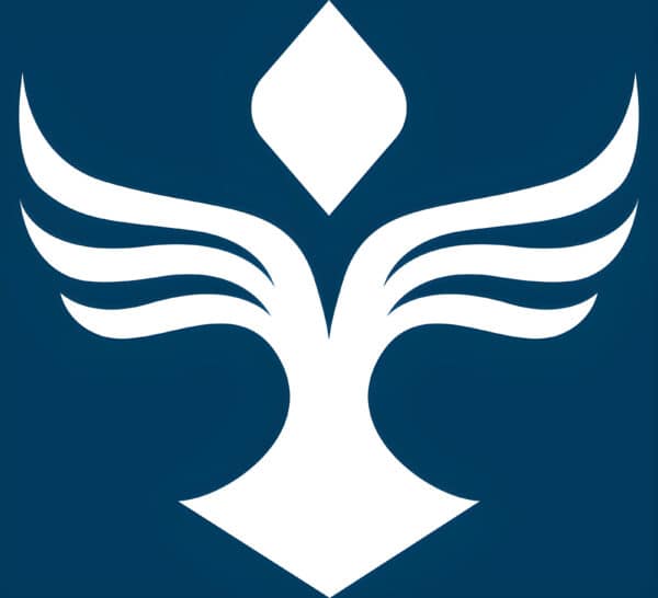MERI icon