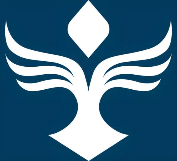 MERI icon