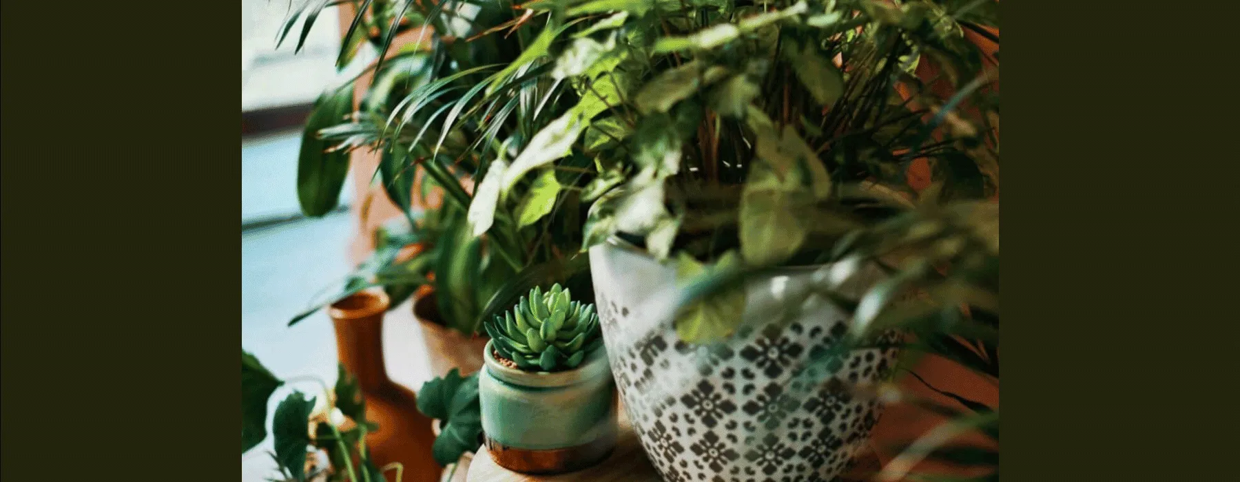 HelpGuide.org resource banner