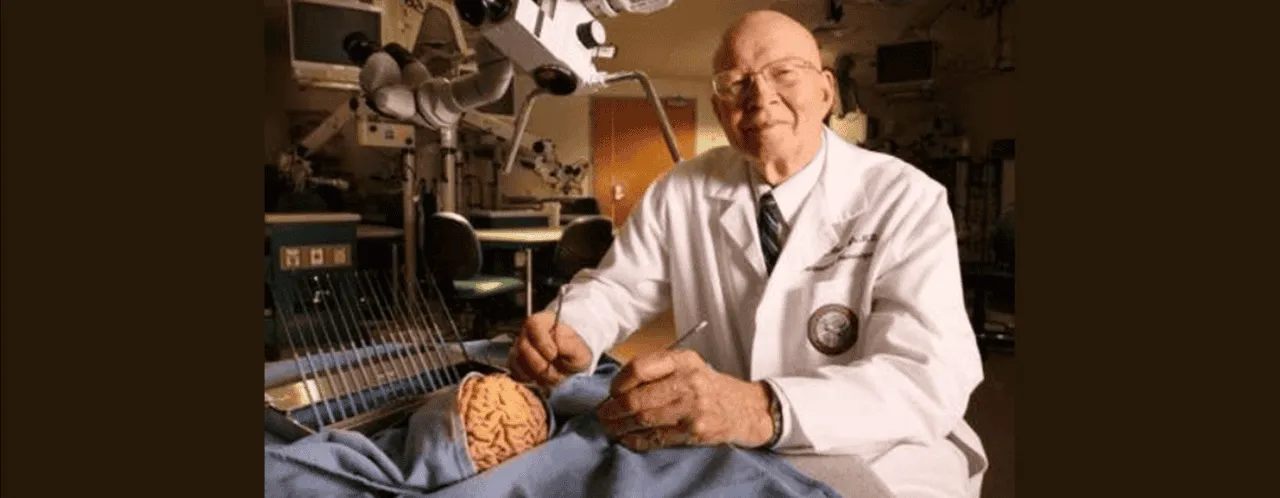 Anatomical brain models with detailed vascular structures.