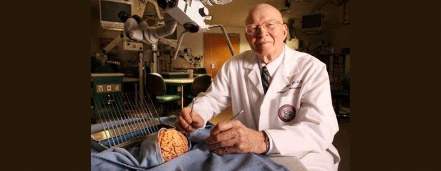 Anatomical brain models with detailed vascular structures.