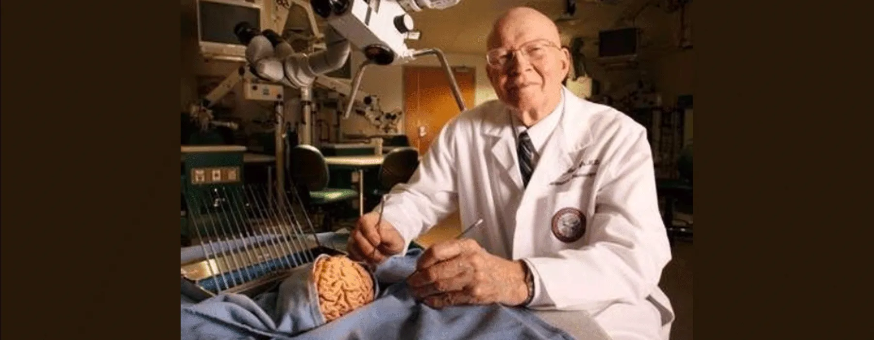 Anatomical brain models with detailed vascular structures.