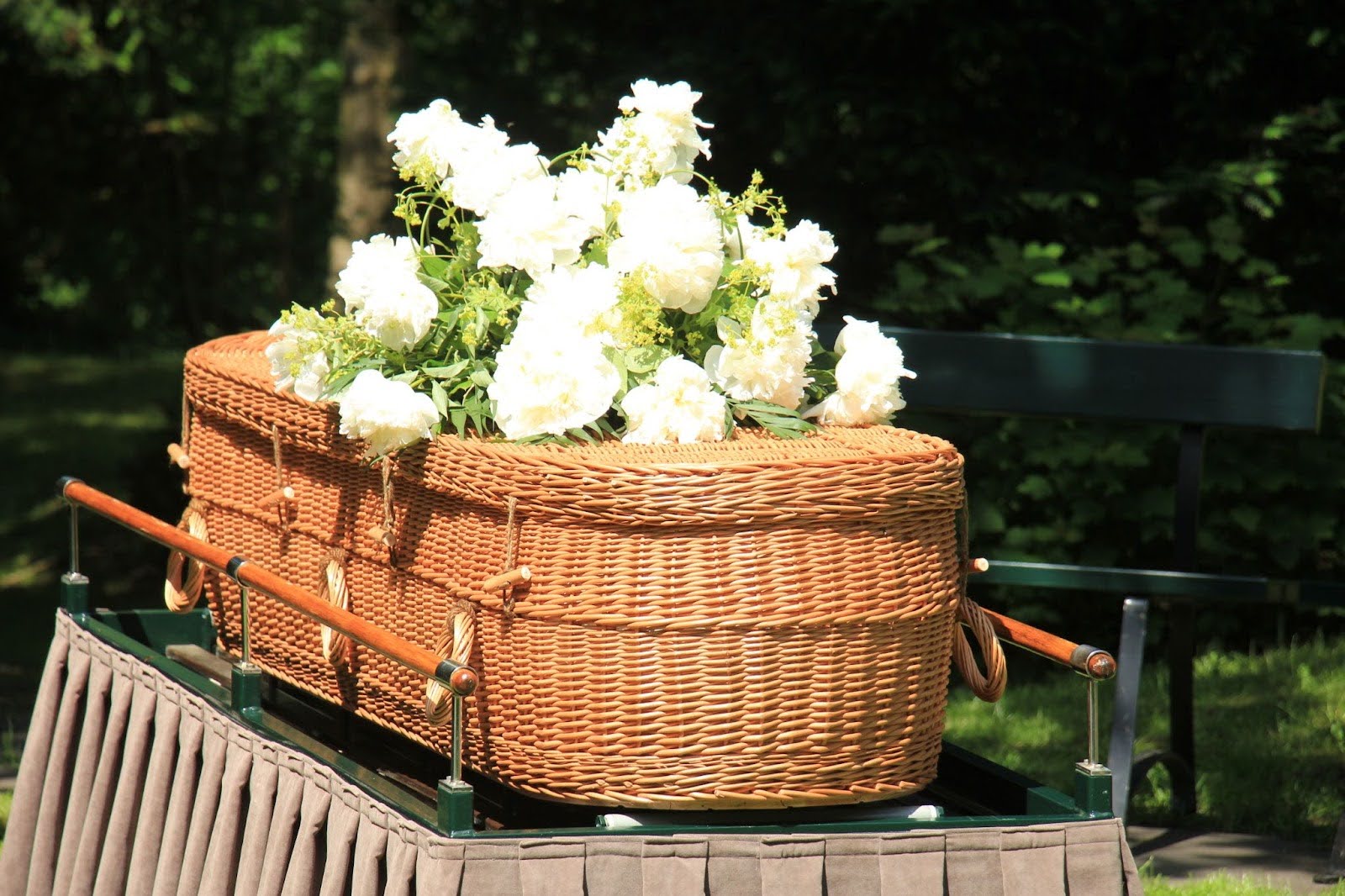Contemporary eco-friendly willow cremation casket